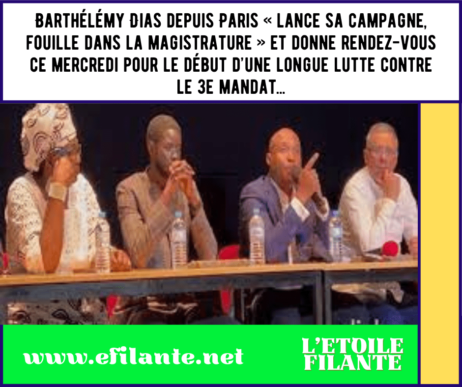 « Tout ce tintamarre sur les législatives, ces calculs à n'en plus finir, c’est juste pour se projeter facilement vers un 3e mandat. Il est conscient de la force de l’inter coalition Wallu-Yewwi »
