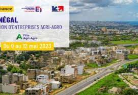 SÉNÉGAL-FRANCE-AGRICULTURE-PERSPECTIVES / Quarante entreprises agricoles et agroalimentaires françaises vont séjourner à Dakar du 9 au 12 mai (MEDEF)